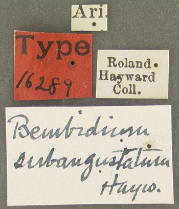Media type: image;   Entomology 16289 Aspect: labels